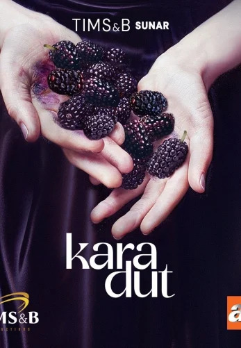 Турецкий сериал Черная Шелковица Черная Шелковица